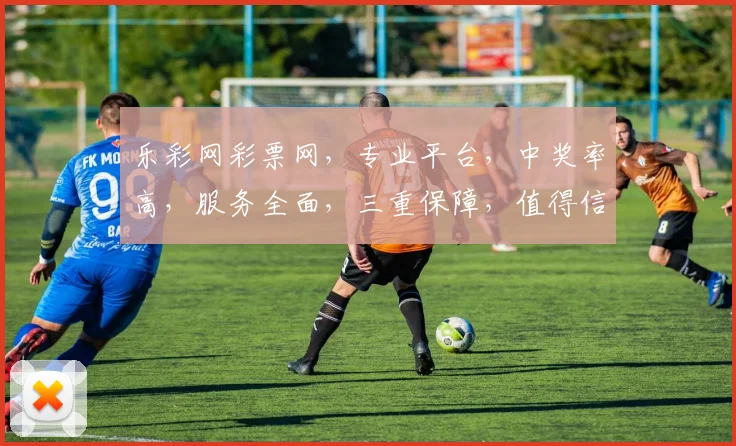 乐彩网彩票网，专业平台，中奖率高，服务全面，三重保障，值得信赖，体验非凡