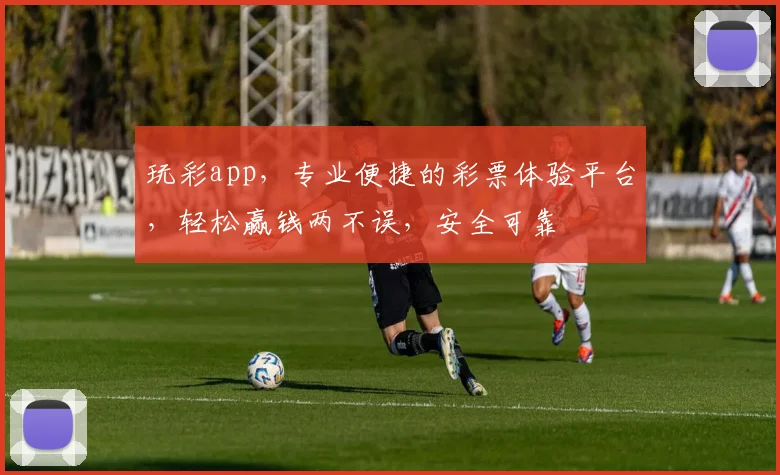 玩彩app，专业便捷的彩票体验平台，轻松赢钱两不误，安全可靠